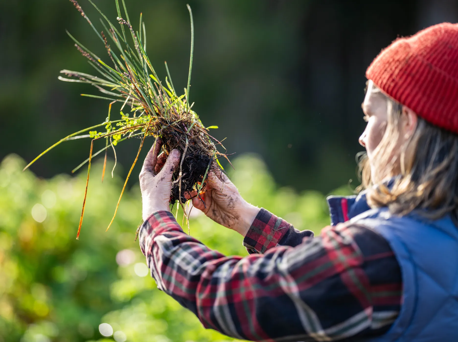 Health as a revenue model for regenerative agriculture