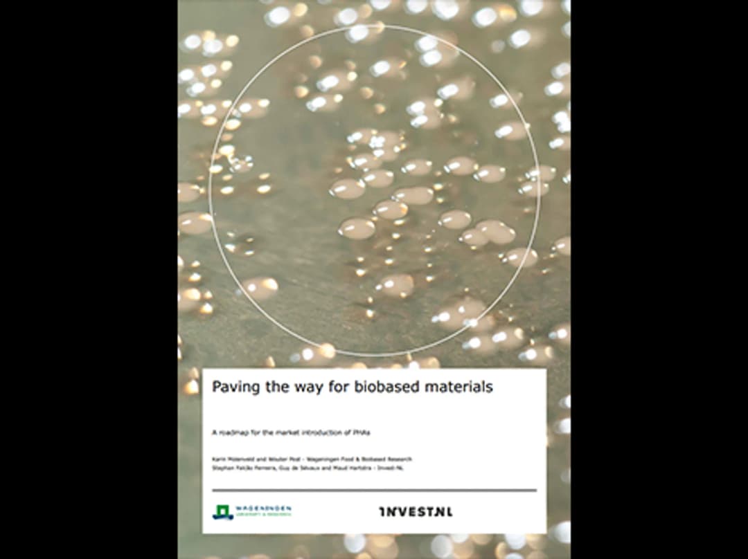 The path to biobased materials