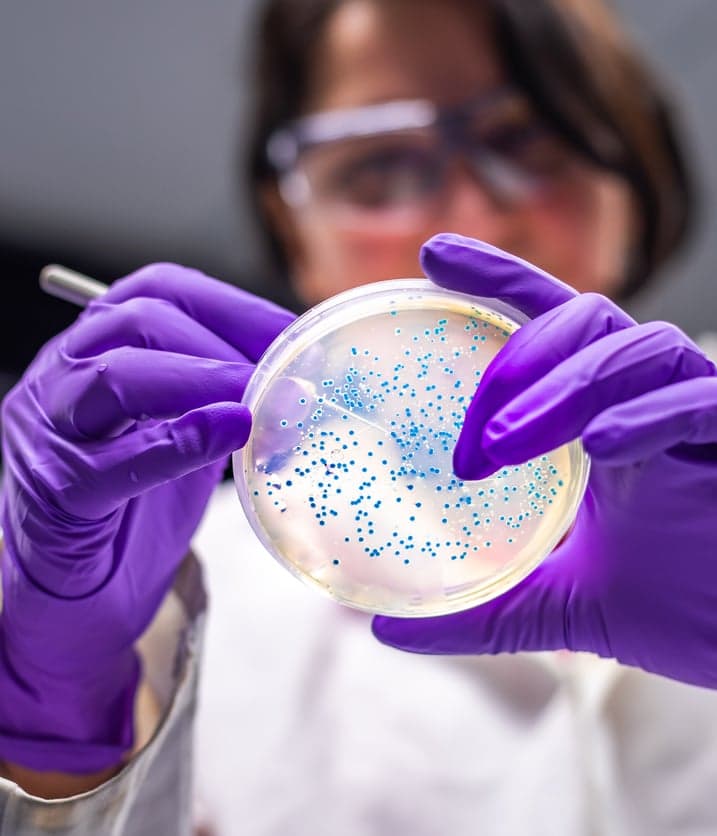 Waarom biotechnologie nu relevant is