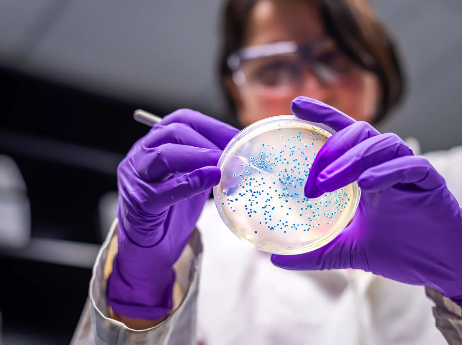 Invest-NL start serie deep dives naar strategische biotechnologie-kansen voor Nederland