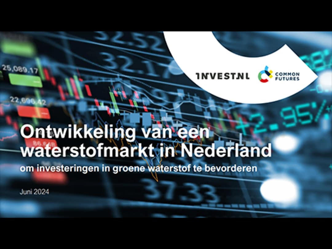 Development of a hydrogen market in the Netherlands