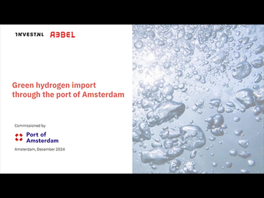 Green hydrogen import via the port of Amsterdam