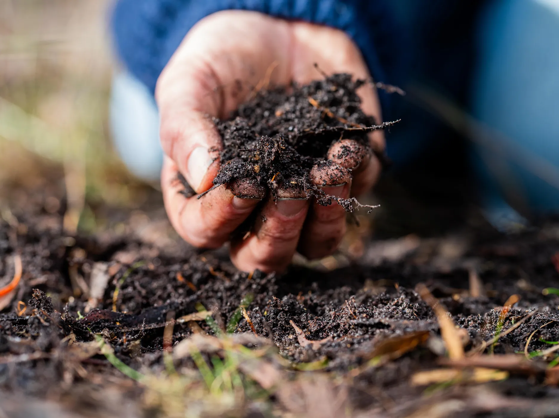 Access to land: a key for sustainable agriculture