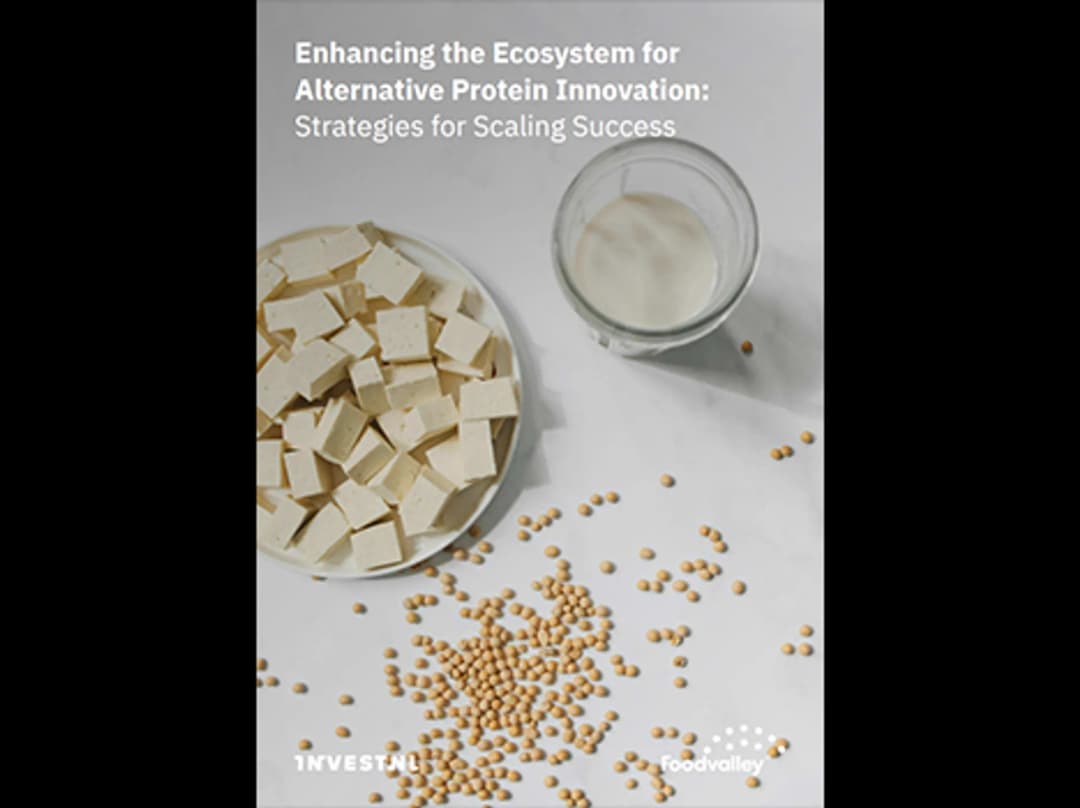 Enhancing the ecosystem for alternative protein innovation: Strategies for scaling success