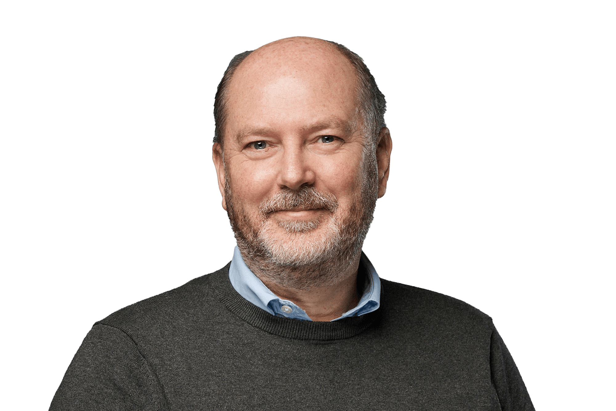 Paul de Vries - consultant