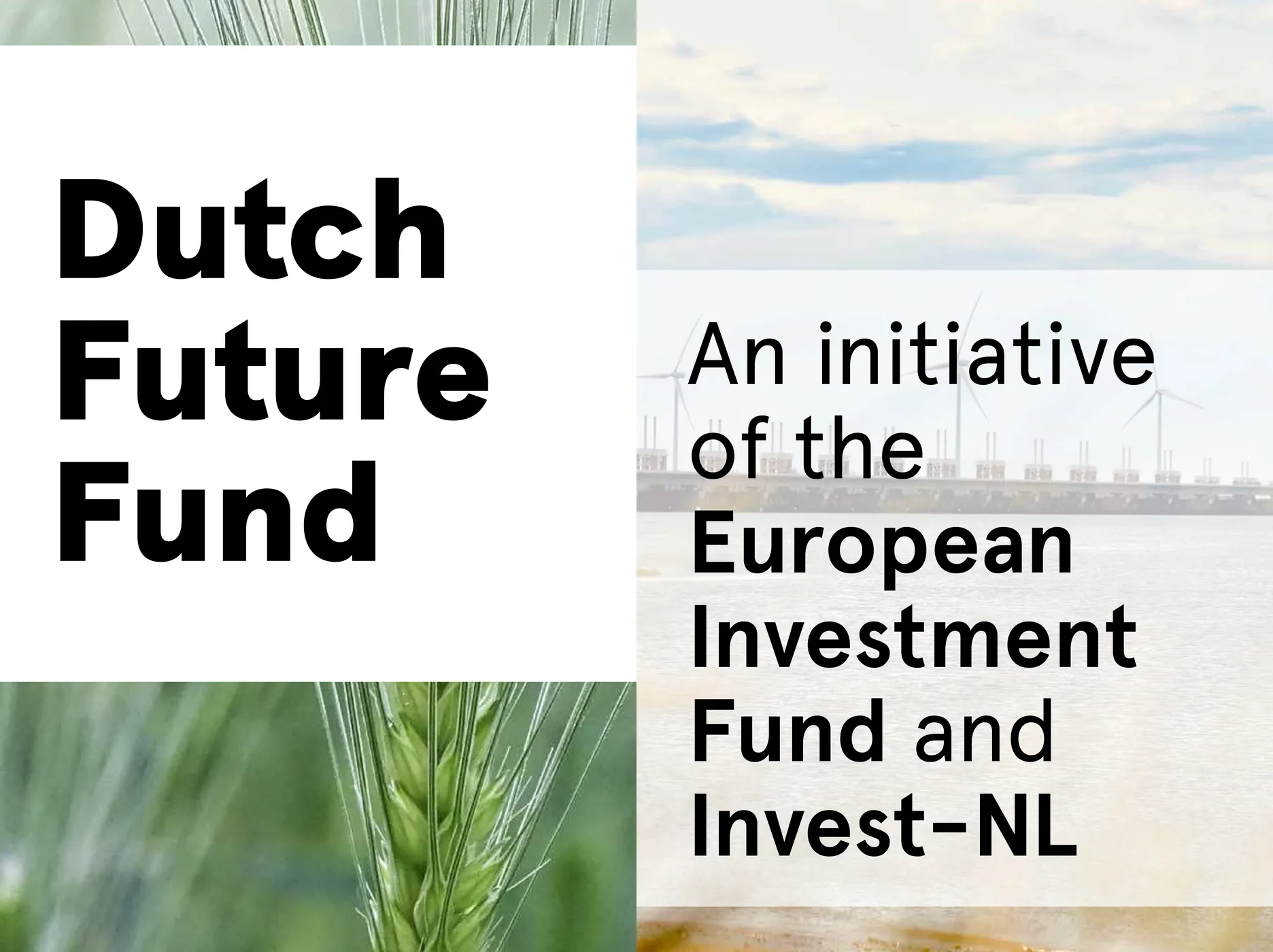 Invest-NL and European Investment Fund support innovative Dutch scale-ups