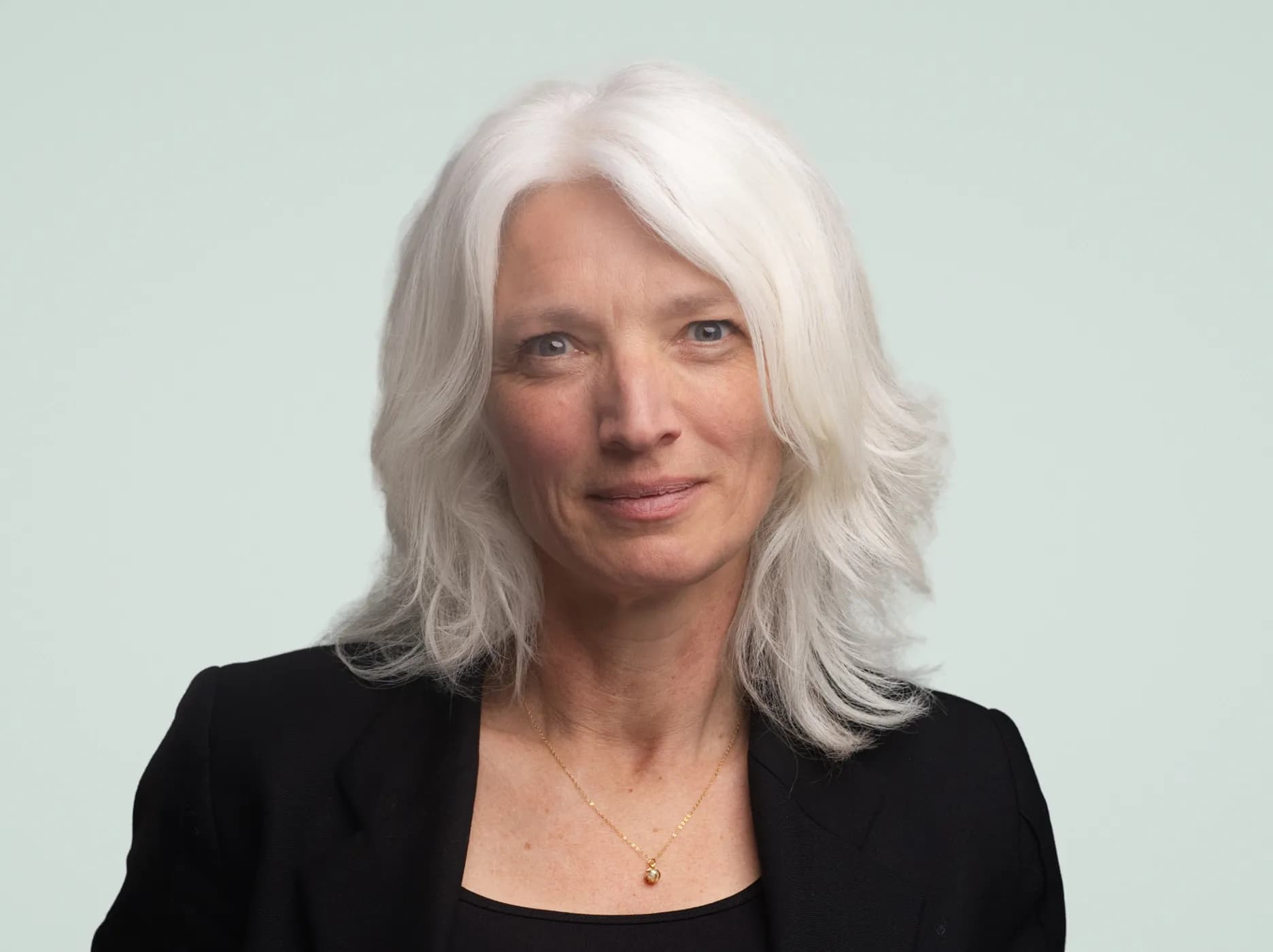 Anne Mieke van der Werf neemt afscheid als Directeur Marktontwikkeling bij Invest-NL
